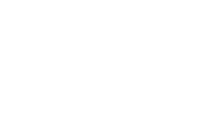 ScaleIL